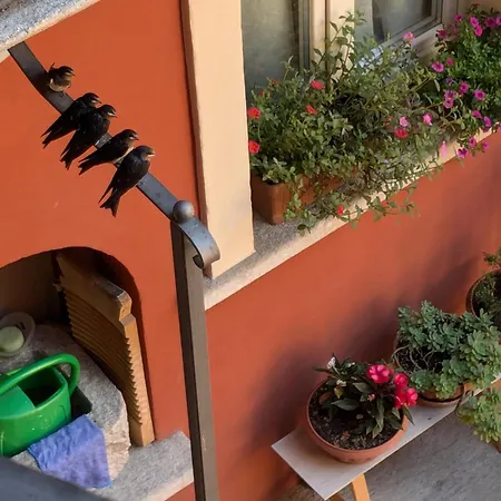 Apartment Le Rondini A
