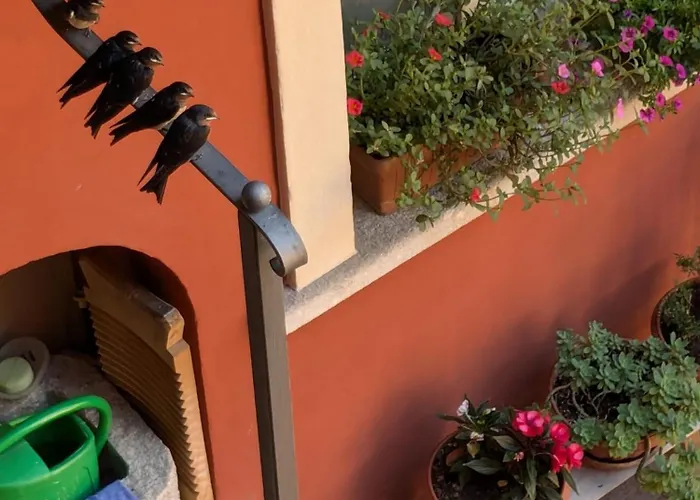 Apartment Le Rondini A